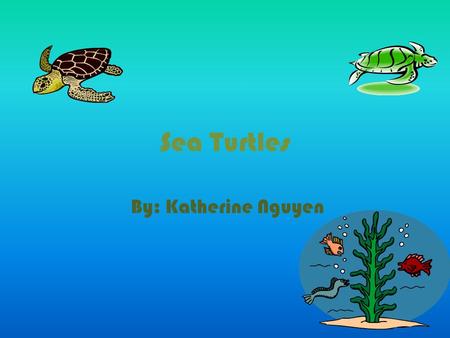Sea Turtles By: Katherine Nguyen. Sea Turtles * Sea turtles are amazing!! *They can do things we can’t do. *Sea turtles have strong bodies.