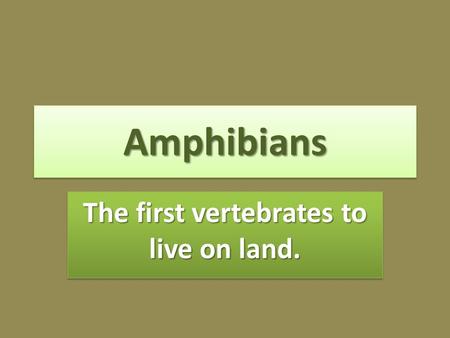 AmphibiansAmphibians The first vertebrates to live on land.