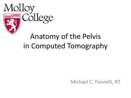 Anatomy of the Pelvis in Computed Tomography