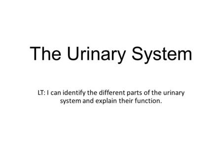 The Urinary System LT: I can identify the different parts of the urinary system and explain their function.