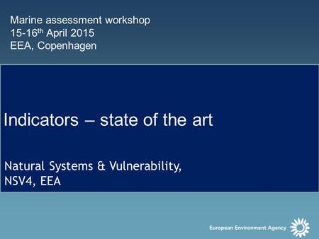 Marine assessment workshop 15-16 th April 2015 EEA, Copenhagen Indicators – state of the art Natural Systems & Vulnerability, NSV4, EEA.