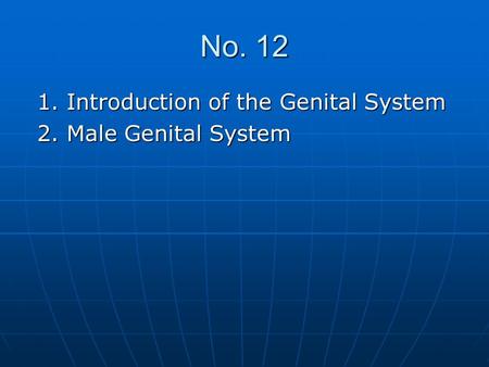 No. 12 1. Introduction of the Genital System 2. Male Genital System.