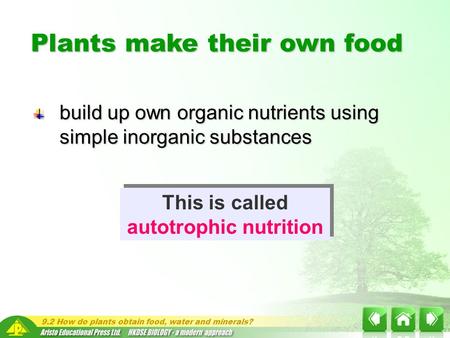 9.2 How do plants obtain food, water and minerals? build up own organic nutrients using simple inorganic substances Plants make their own food This is.