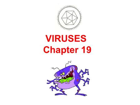 VIRUSES Chapter 19.