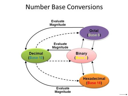 Number Base Conversions