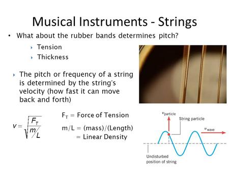 What about the rubber bands determines pitch? Musical Instruments - Strings  The pitch or frequency of a string is determined by the string’s velocity.