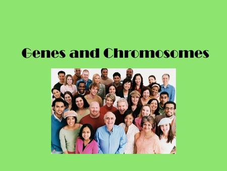 Genes and Chromosomes. Gene Segment of DNA whose sequence codes for a specific product – Examples: physical trait, RNA, enzymes etc. Genes are located.