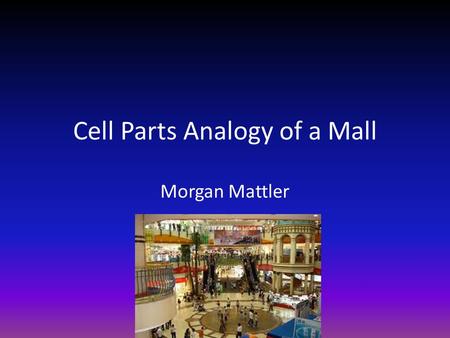 Cell Parts Analogy of a Mall