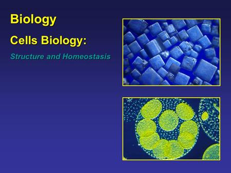 Biology Cells Biology: Structure and Homeostasis.