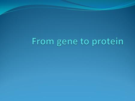 Gene to protein The two main processes that link the gene to protein are: RNA transcription and translation. The bridge between DNA and protein synthesis.