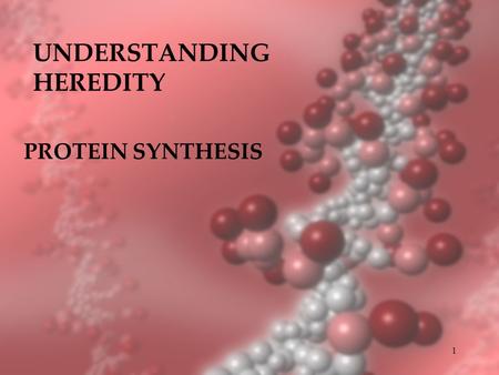 UNDERSTANDING HEREDITY PROTEIN SYNTHESIS 1. Genes & Proteins Genes - sequences of nucleotide bases Genes code for proteins Proteins - amino acids linked.