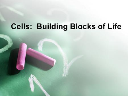 Cells: Building Blocks of Life. Objective 2.0 Identify functions of organelles found in eukaryotic cells, including the nucleus, cell membrane, cell wall,