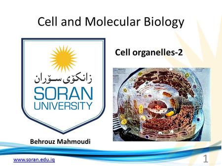 Www.soran.edu.iq Cell and Molecular Biology Behrouz Mahmoudi Cell organelles-2 1.