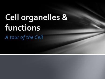 A tour of the Cell Cell organelles & functions. Differences between plant and animal cells: Animal lacks Plant lacks Cell wall Centrioles Large central.