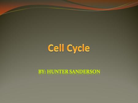 Cell Cycle By: Hunter Sanderson.