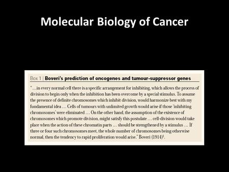 Molecular Biology of Cancer. CANCER TAKES TIME CANCER IS A DISEASE OF GENETIC MUTATIONS ACCUMULATION OF MANY MUTATIONS CAUSES CANCER.