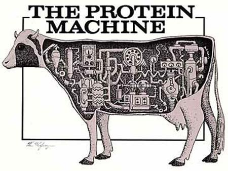 PROTEINS.