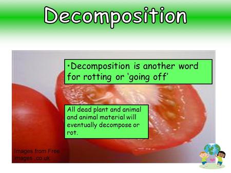 Decomposition Decomposition is another word for rotting or ‘going off’