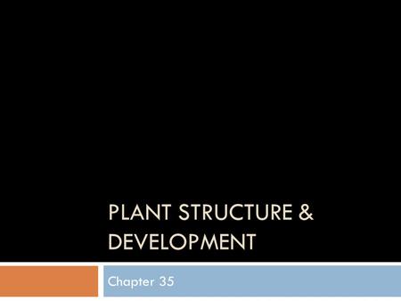 PLANT STRUCTURE & DEVELOPMENT Chapter 35. Overview  Roots – Underground  Shoots – Leafs & Stems  3 Tissue types in the above Dermal, Vascular, & Ground.
