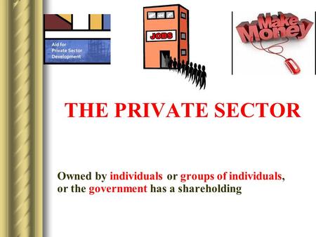 THE PRIVATE SECTOR Owned by individuals or groups of individuals, or the government has a shareholding.