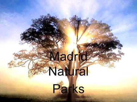 Madrid Natural Parks. These are some of the natural parks of Madrid: 1234 5678.
