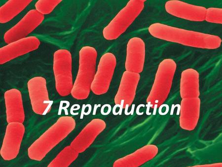 7 Reproduction. Reproduction: making offspring Reproduction according to embedded genetic instructions is a characteristic of living organisms. Two types.