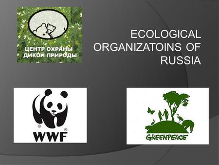 ECOLOGICAL ORGANIZATOINS OF RUSSIA. Today our environment and wildlife are in danger. Every day the situation becomes worse and worse.  Our project is.