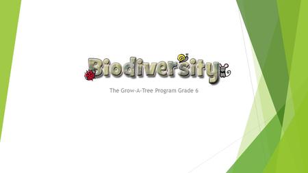 The Grow-A-Tree Program Grade 6