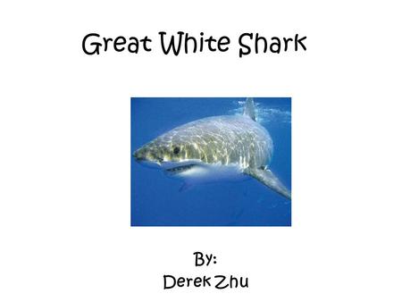 Great White Shark By: Derek Zhu. Characteristics The great white shark is a fish and is cold blooded. They are vertebrates. They can be 20 feet wide and.