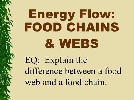 Energy Flow: FOOD CHAINS & WEBS EQ: Explain the difference between a food web and a food chain.