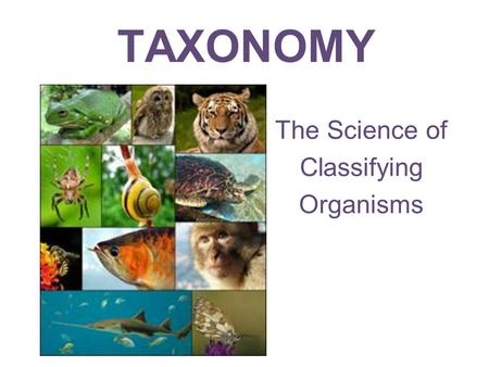 The Science of Classifying Organisms
