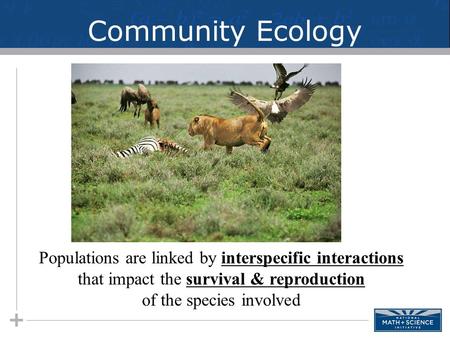 Community Ecology Populations are linked by interspecific interactions that impact the survival & reproduction of the species involved.