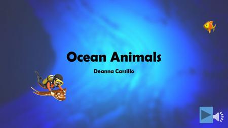 Ocean Animals Deanna Carsillo.