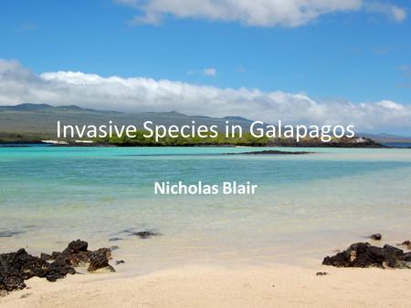 Invasive Species in Galapagos Nicholas Blair. What is an invasive specie? An invasive specie is a specie that has gotten to a certain place and mostly.