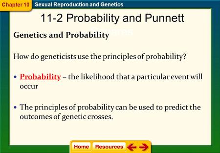 11-2 Probability and Punnett Squares Genetics and Probability How do geneticists use the principles of probability? Probability – the likelihood that.