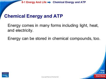 End Show Slide 1 of 20 8-1 Energy And Life Copyright Pearson Prentice Hall Chemical Energy and ATP Energy comes in many forms including light, heat, and.