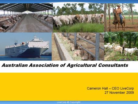 Australian Association of Agricultural Consultants Cameron Hall – CEO LiveCorp 27 November 2009.