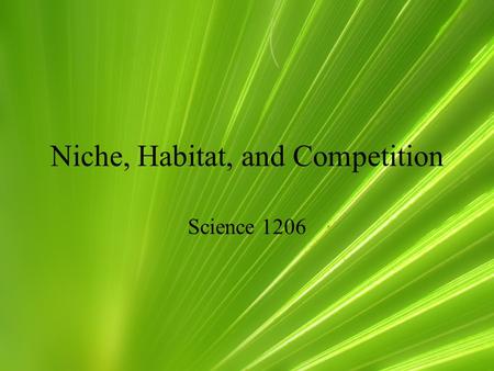 Niche, Habitat, and Competition Science 1206. Niche, refers to the role that a species plays within its ecosystem. In balanced ecosystems, each species.