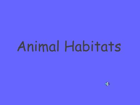 Animal Habitats. What is an animal habitat? A habitat provides the needs of an animal. Air Shelter Food water.