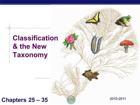 AP Biology 2010-2011 Classification & the New Taxonomy Chapters 25 – 35.