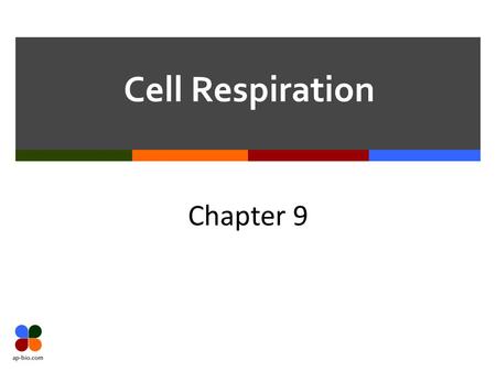 Cell Respiration Chapter 9. Slide 2 of 33 Why Respire?  Living cells require energy transfusions to perform most of their tasks  From external sources.