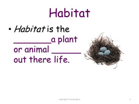 1 Habitat Habitat is the _______a plant or animal ______ out there life. Habitat is the _______a plant or animal ______ out there life. copyright cmassengale.