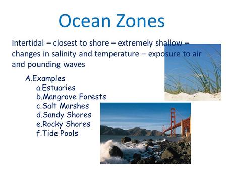 Ocean Zones Intertidal – closest to shore – extremely shallow – changes in salinity and temperature – exposure to air and pounding waves A.Examples a.Estuaries.