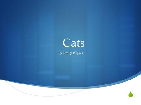 Cats By Emily Kipnis.