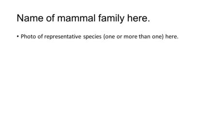 Name of mammal family here. Photo of representative species (one or more than one) here.