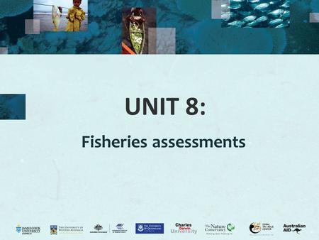 UNIT 8: Fisheries assessments. 2 Fisheries data Why do we need fisheries data? FAO (2005): “Information is critical to EAF. It underpins the formulation.