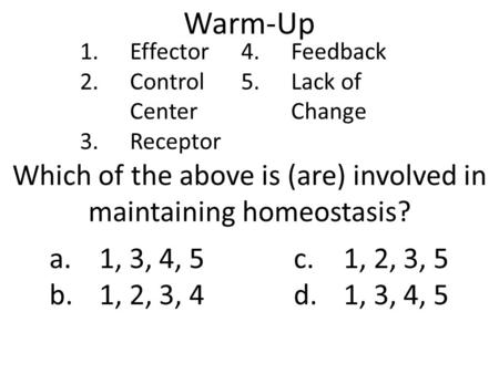 Warm-Up Which of the above is (are) involved in maintaining homeostasis? 1.Effector 2.Control Center 3.Receptor 4.Feedback 5.Lack of Change a.1, 3, 4,