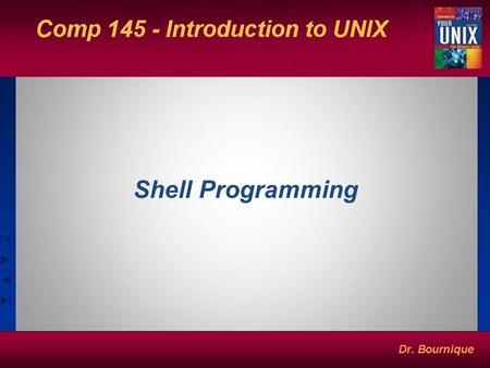 Shell Programming. Creating Shell Scripts: Some Basic Principles A script name is arbitrary. Choose names that make it easy to quickly identify file function.