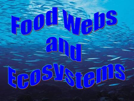 Food Webs and Ecosystems.