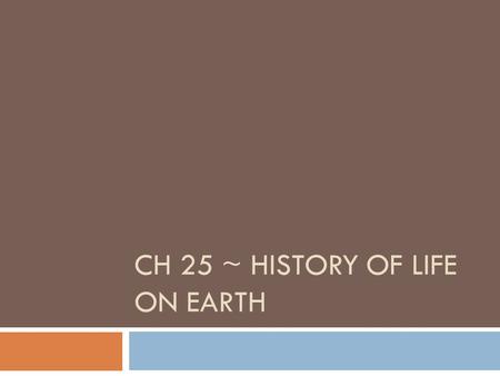 Ch 25 ~ History of Life on Earth